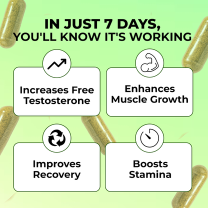 Nutrive® Turkesterone & Tongkat Ali